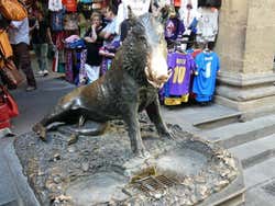 Il Porcellino